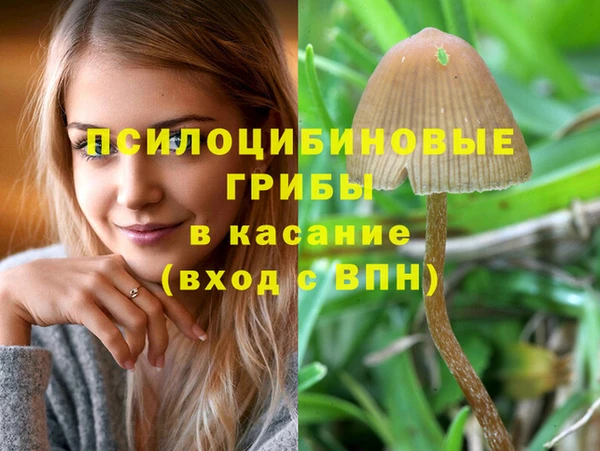 твердый Зеленокумск